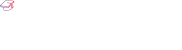 Mvt Careers - Web Development Internship
